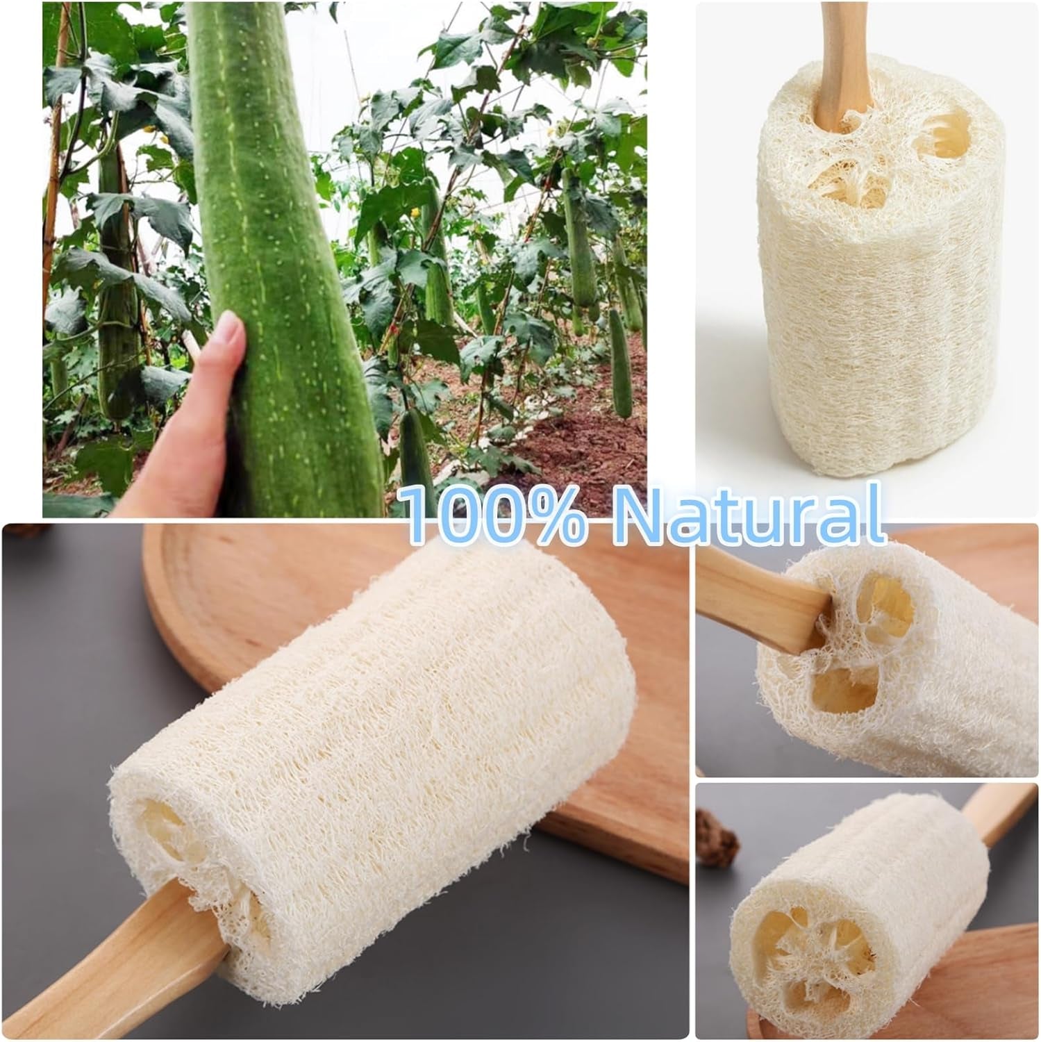 Natural Exfoliating Loofah Luffa Loofa Bath Brush on a Stick, Shower Sponge Body Back Scrubber with Hooks,Truly Natural Towel,With Long Wooden Handle Back Brush for Men & Women (Pack of 1)